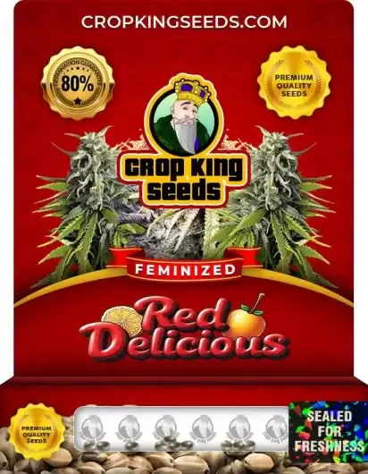 Red Delicious Feminized