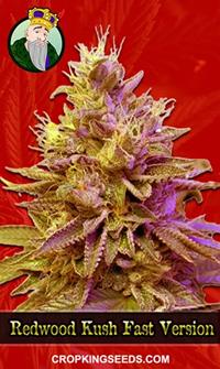 Redwood Kush Fast Version