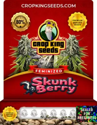 Skunk Berry Feminized