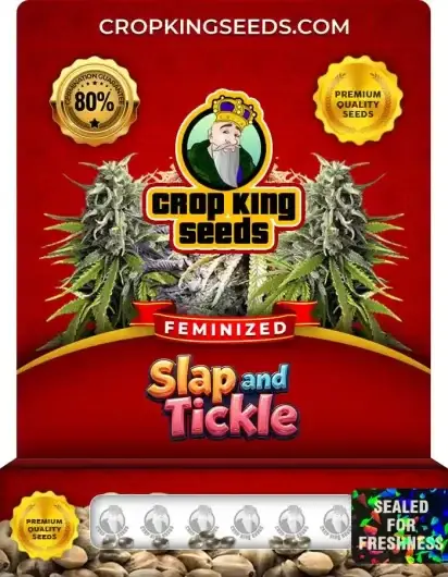 Slap and Tickle Feminized