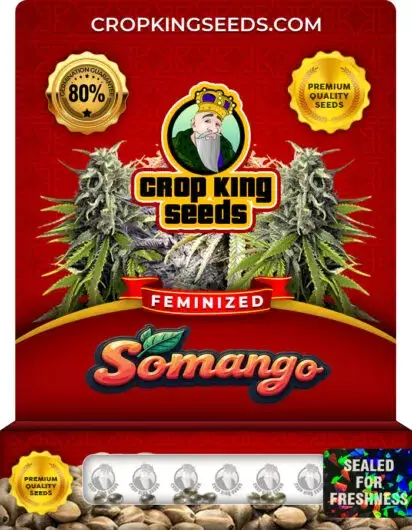 Somango Feminized