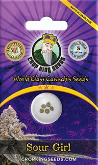 Sour Girl Autoflowering