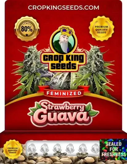 Strawberry Guava Feminized
