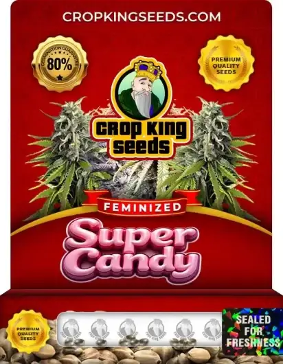 Super Candy Feminized