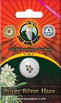 Super Silver Haze Feminized