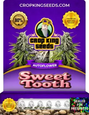 Sweet Tooth Autoflower