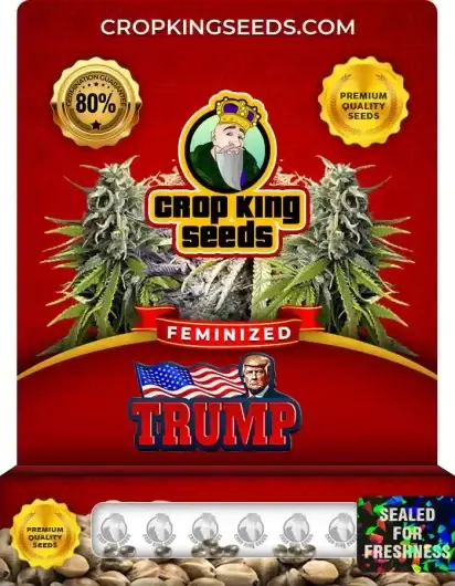 Trump Feminized