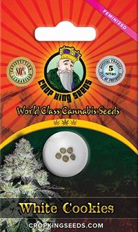 White Cookies Feminized