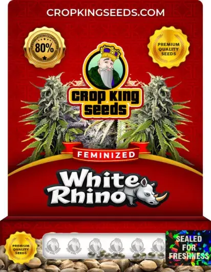 White Rhino Feminized