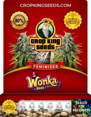 Wonka Bars Feminized