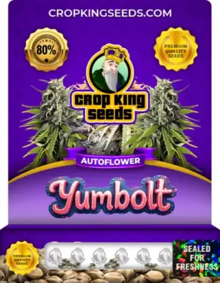 Yumbolt Autoflower
