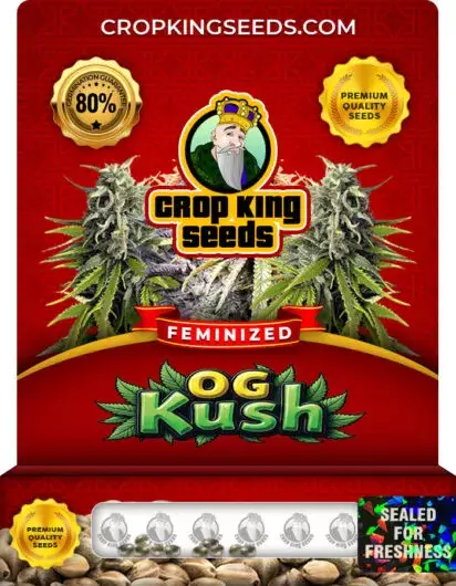 OG Kush Feminized