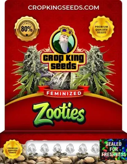 Zooties Feminized