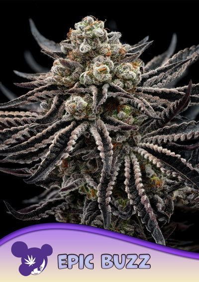 EPIC BUZZ®