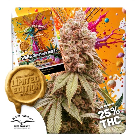 white-gushers-33-image