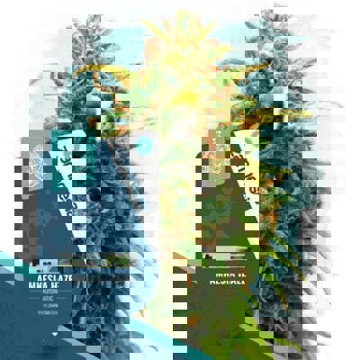 Amnesia Haze Autoflower