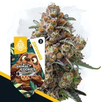 Animal Cookies