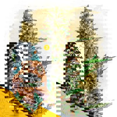 Animal Cookies Autoflower