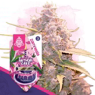 birthday-cake-autoflower-image