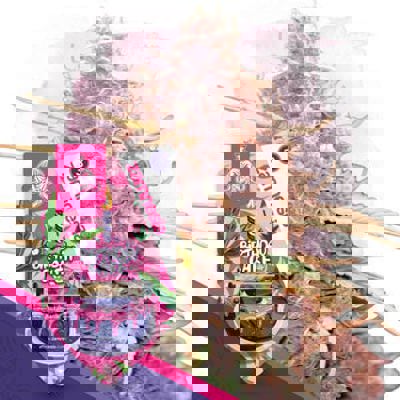 Birthday Cake Autoflower