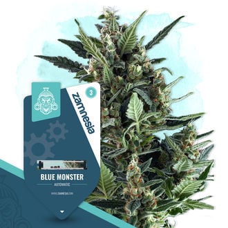 blue-monster-autoflower-image