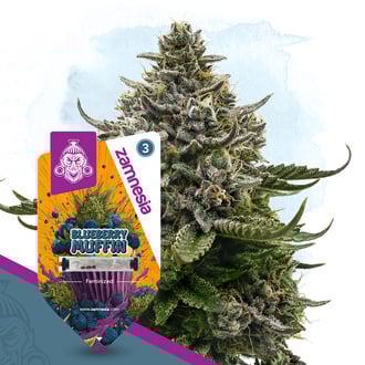 blueberry-crumble-image