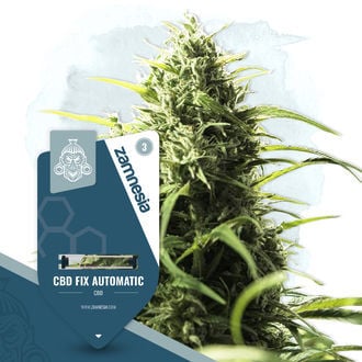 cbd-fix-autoflower-image