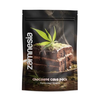 chocolate-cake-pack-strains-image