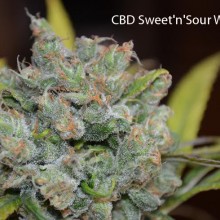 cbd-sweet-and-sour-widow-image