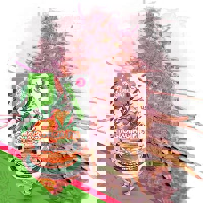 Georgia Pie Autoflower