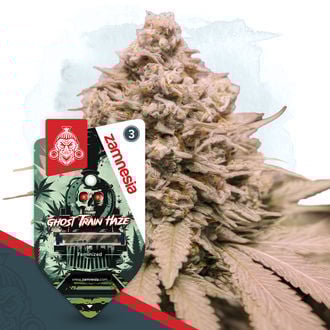 ghost-train-haze-image