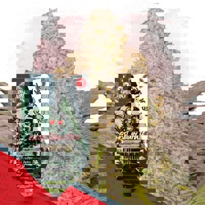 Ghost Train Haze Autoflower