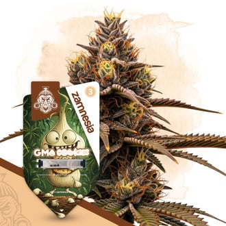 gmo-cookies-autoflower-image