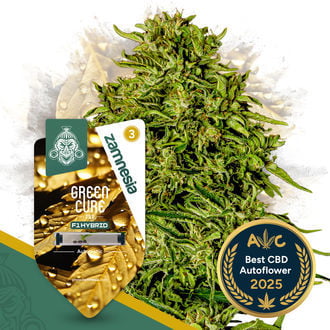 green-cure-cbd-f1-autoflower-image