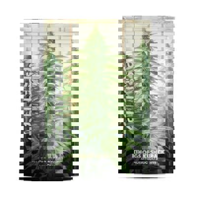 Kings of Kush Pack - Autoflower Strains