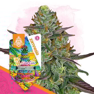 la-kush-cake-autoflower-image