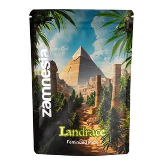 landrace-pack-strains-image