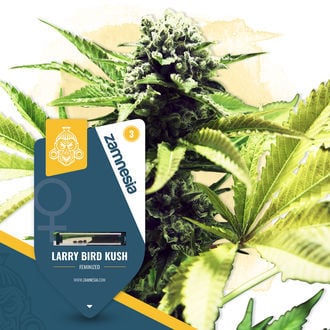 larry-bird-kush-image