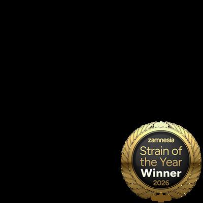 Lemon Cherry Gelato Autoflower