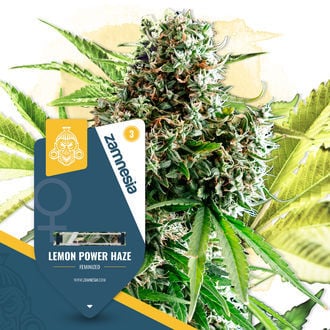 lemon-power-haze-image