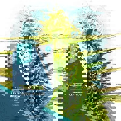 Lemon Wonder Autoflower