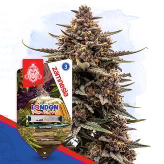 london-pound-cake-image