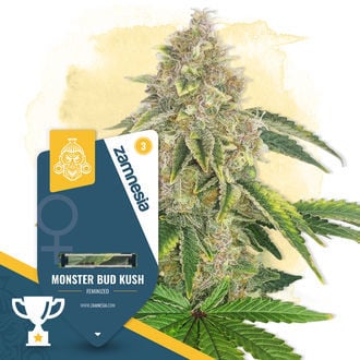 monster-bud-kush-image
