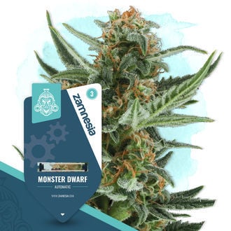 monster-dwarf-autoflower-image