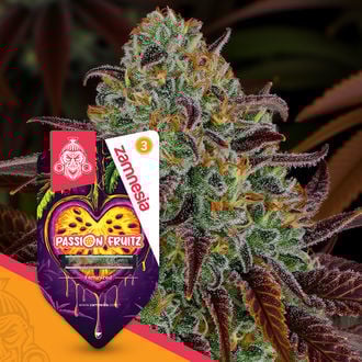 passion-fruitz-image