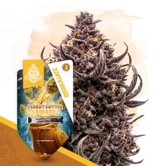 peanut-butter-breath-image