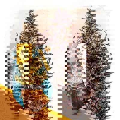 Peanut Butter Breath