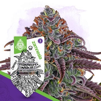 permanent-marker-image