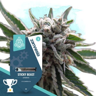 sticky-beast-autoflower-image