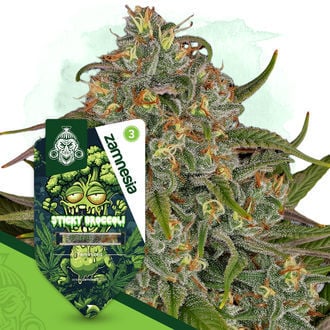 sticky-broccoli-image